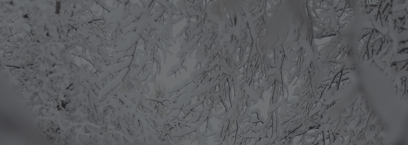 winter-storm-damage-inspection